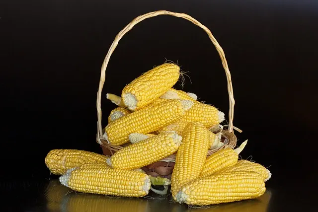 corn