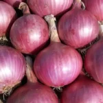 onion_market